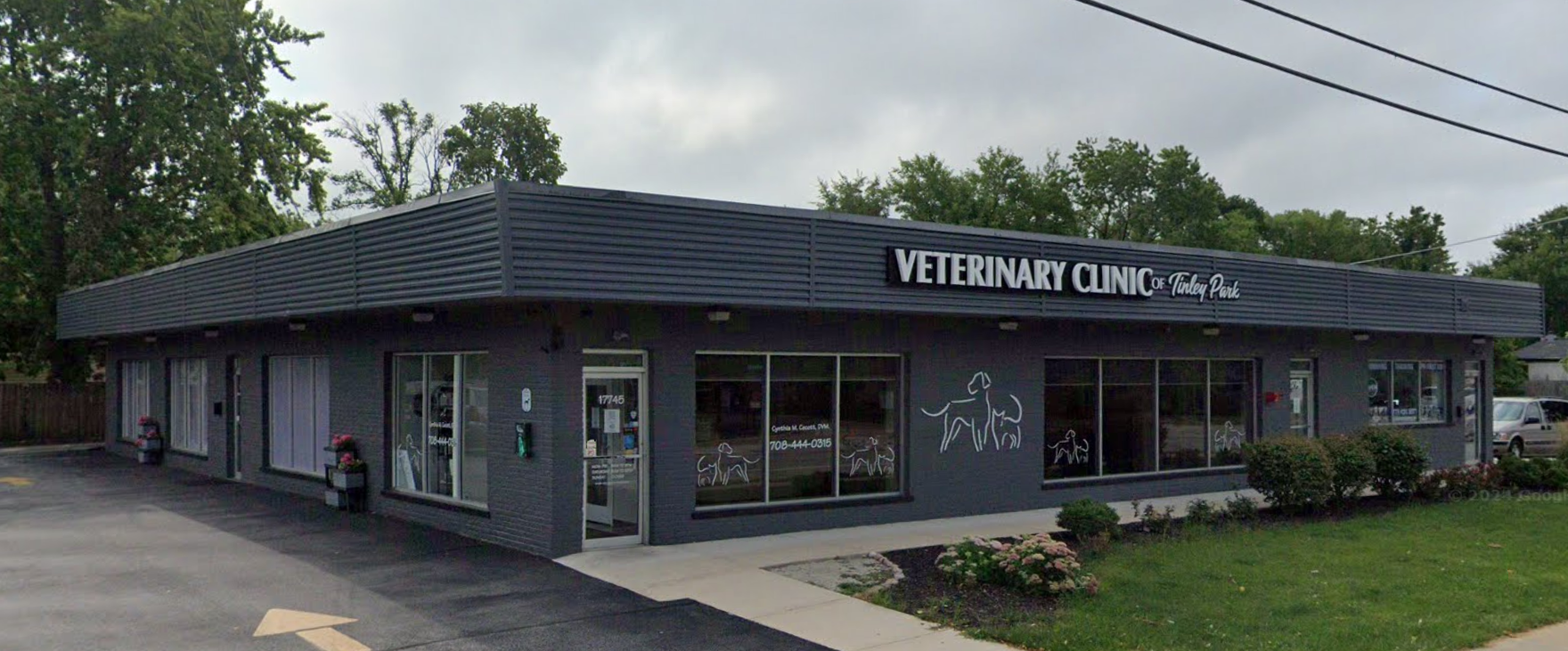 Street view of a veterinary clinic with signage, large windows, and decorative pet graphics, surrounded by greenery.