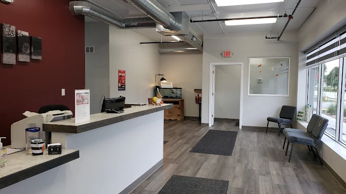 Modern office waiting area with a reception desk, chairs, hardwood flooring, and large windows.