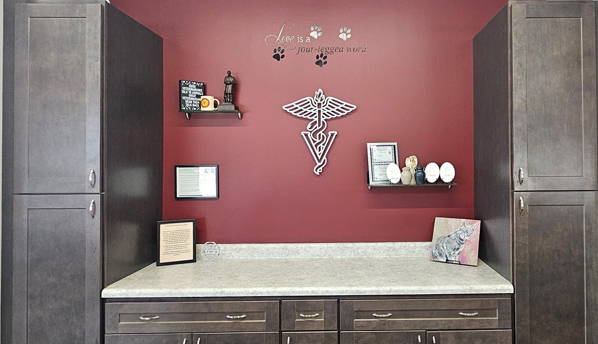 Veterinary clinic interior with a red wall, medical symbol decor, and a reception counter
