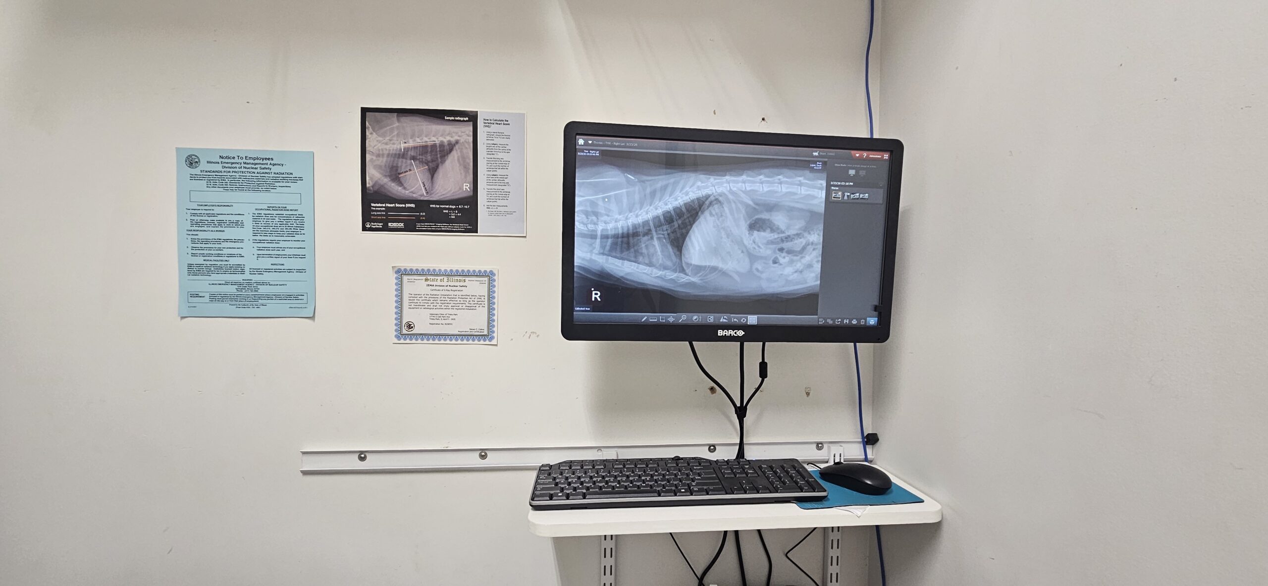 A monitor displaying a pet's X-ray beside several informational documents on a wall.