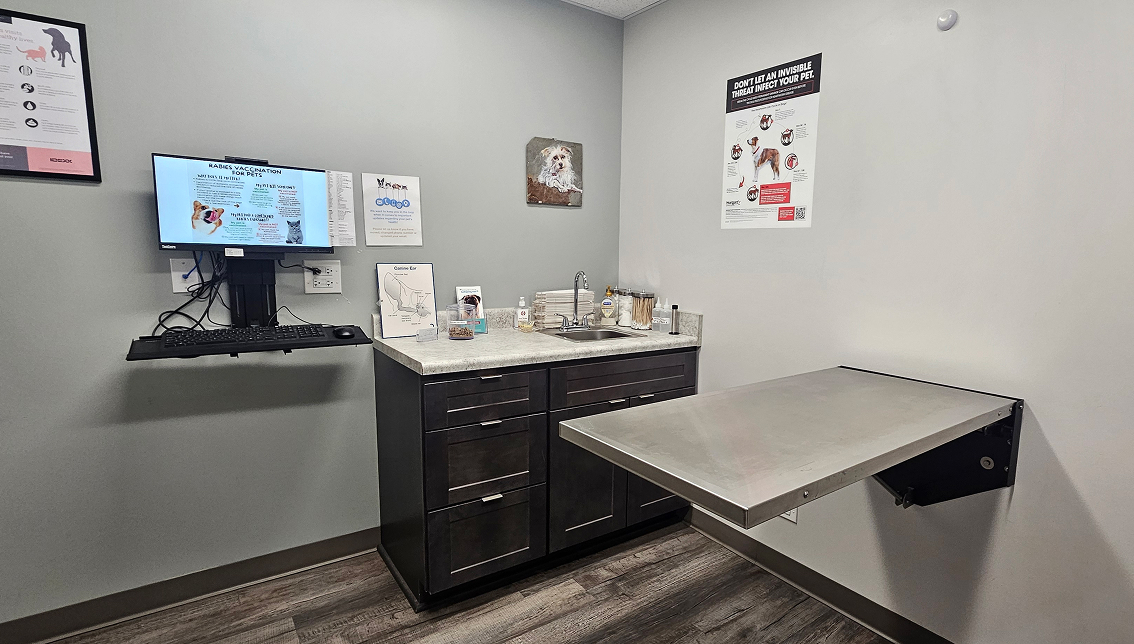 Veterinary exam room with a wall-mounted monitor, sink, and examination table. Posters with pet care information are displayed.