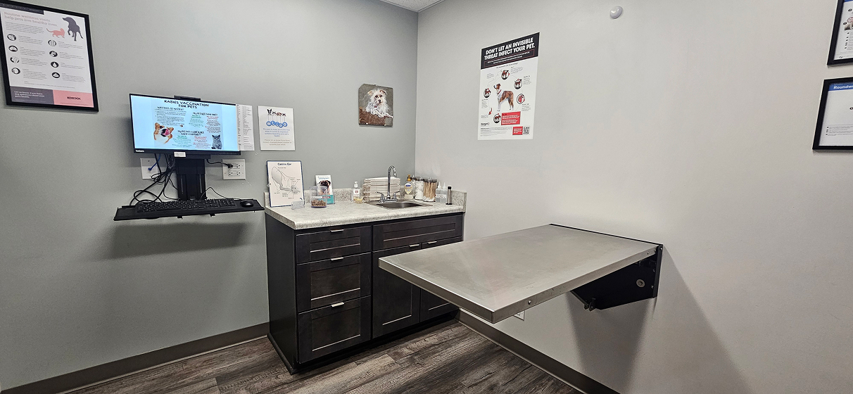 Veterinary exam room with a countertop, computer, sink, and a foldable metal examination table. Posters are on the walls.