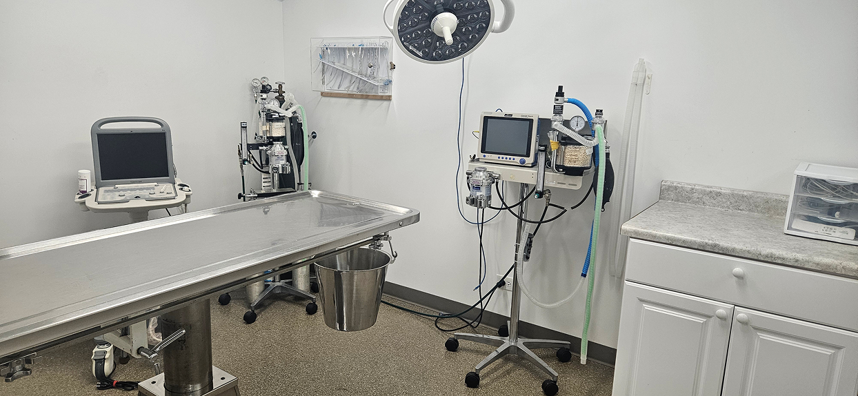 Medical equipment in a sterile examination room with a surgical table and overhead light.
