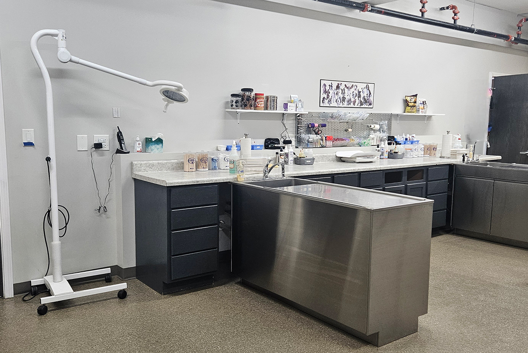 Veterinary exam room with equipment, stainless steel table, and shelves stocked with supplies.