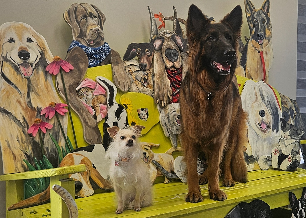 Two dogs sit on a yellow bench, surrounded by painted dog portraits.