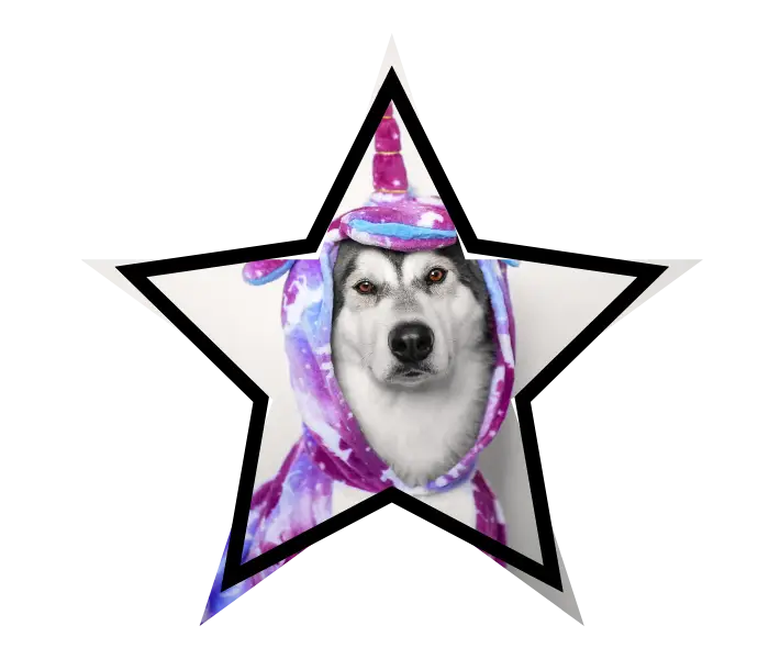 A dog wearing a unicorn costume, showcasing how myths can cover up real animal care facts in Tinley Park, IL
